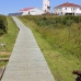 lighthouse_island_seal_machias_v_0299_can0330.jpg